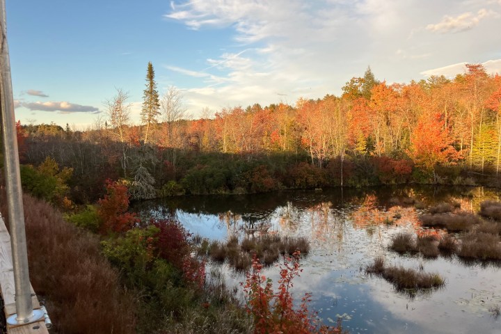 a view of a pond