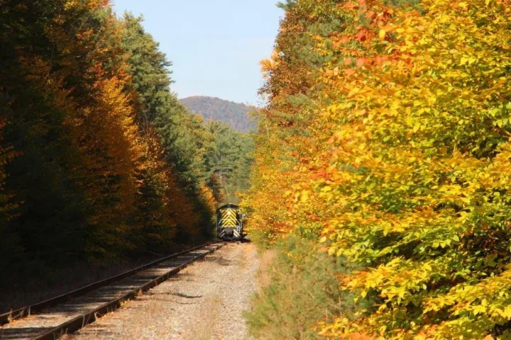 a train traveling down a dirt road