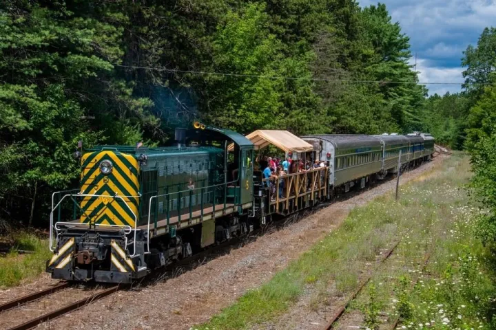 a train traveling down train tracks near a forest