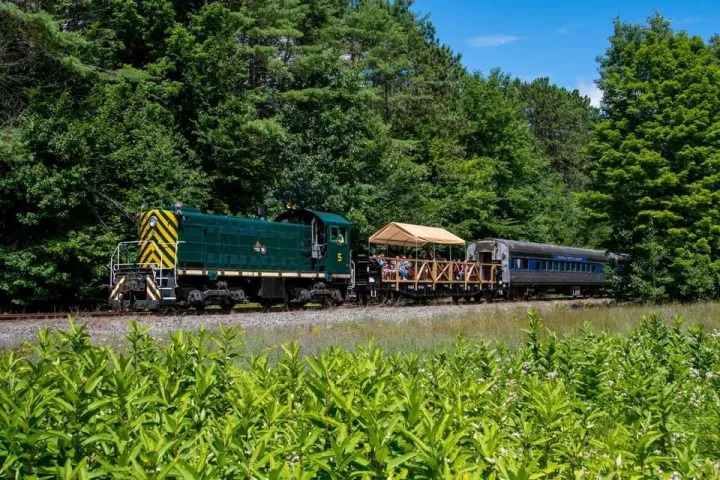 a train traveling through a lush green forest