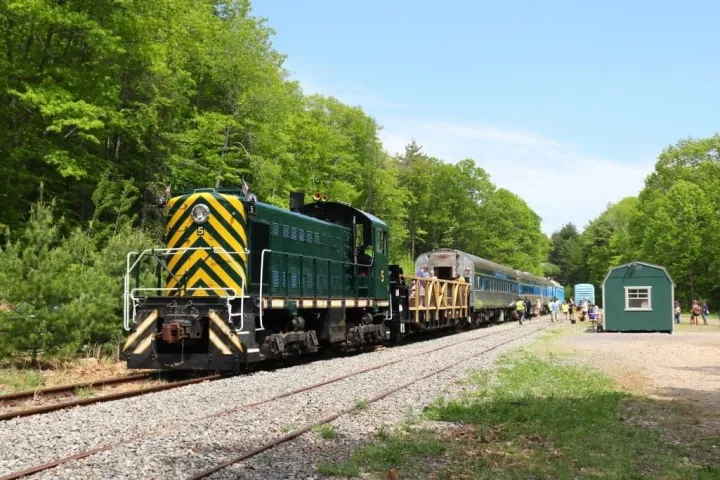 a train traveling down train tracks near a forest