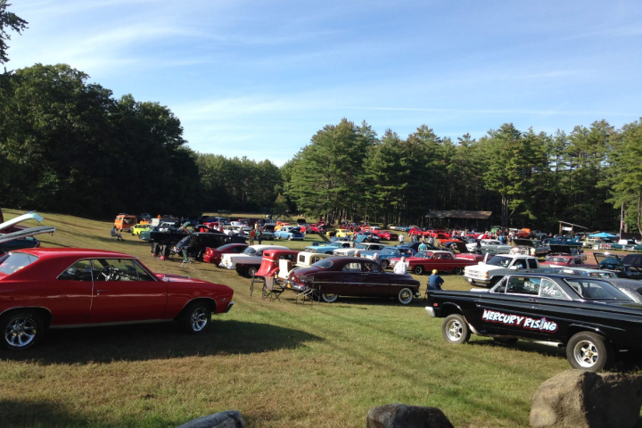 A field filled with a variety of classic cars, surrounded by trees, under a clear blue sky.