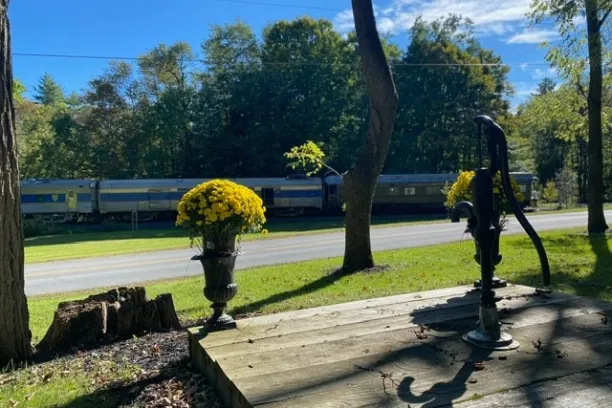 a statue of a man in a park