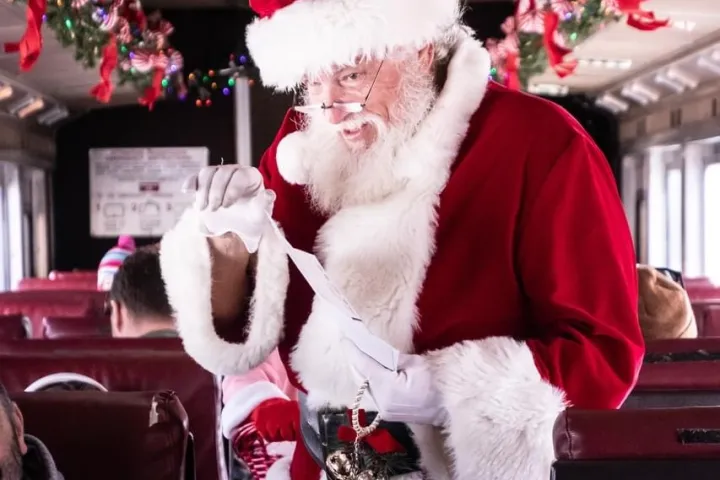 a dog wearing a christmas hat
