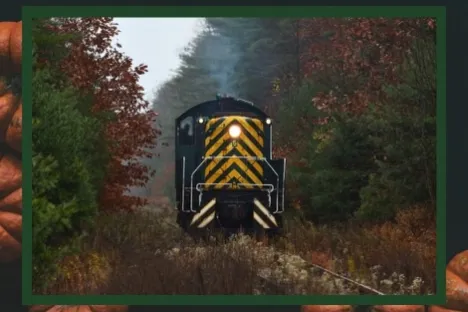 a close up of a sign