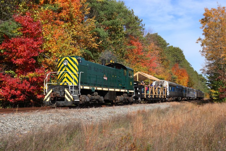 a train traveling down train tracks near a forest
