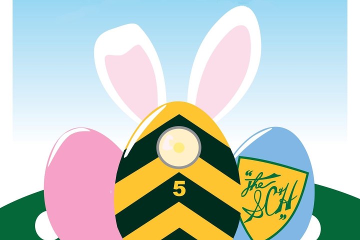 Three decorated eggs with bunny ears and a carrot on grass under blue sky.