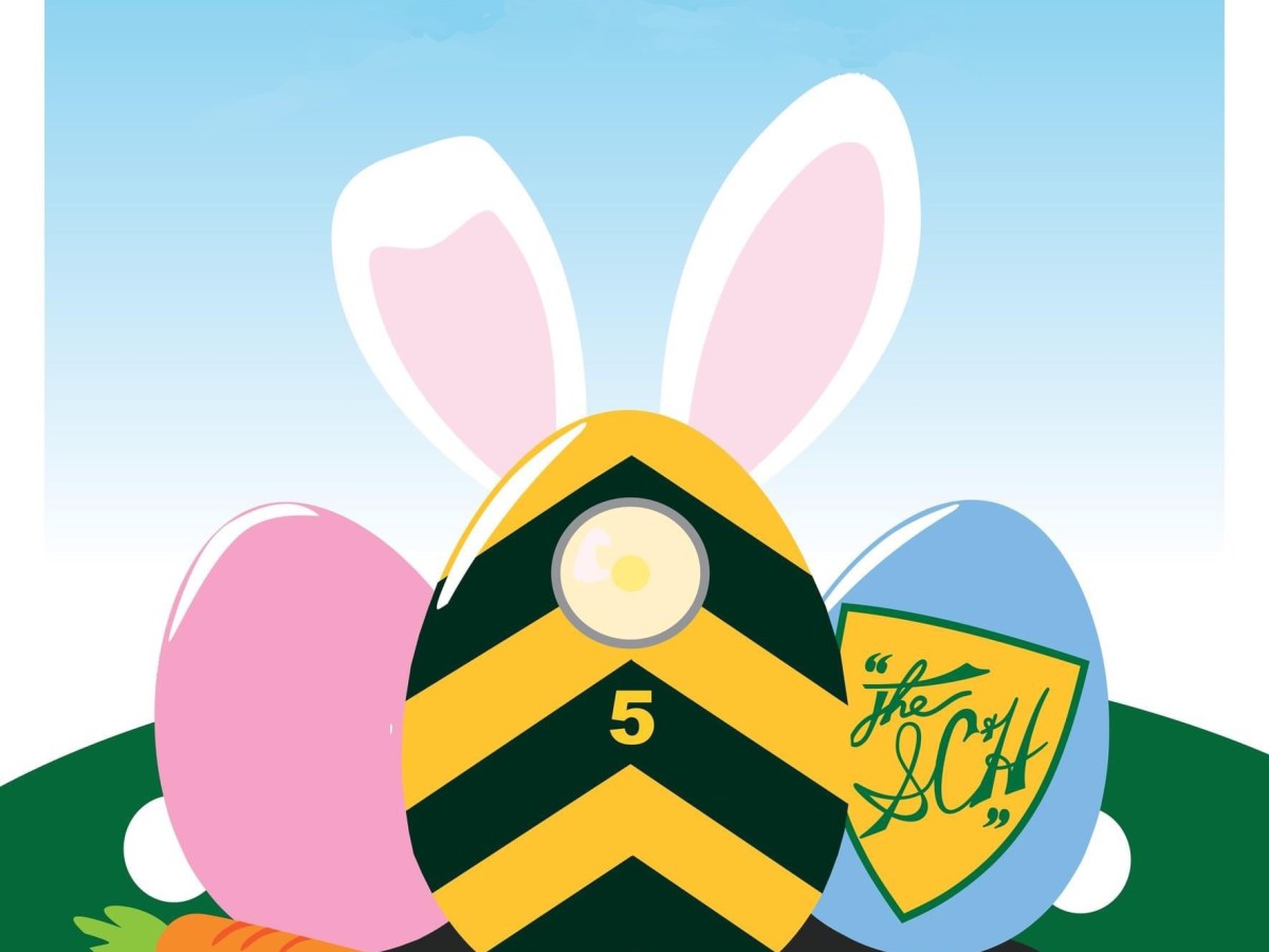 Three decorated eggs with bunny ears and a carrot on grass under blue sky.