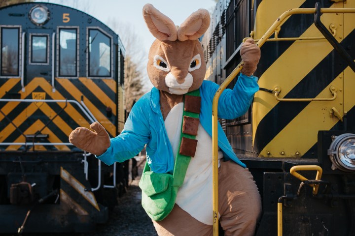 Person in a rabbit costume standing on a train step, with another train in the background.