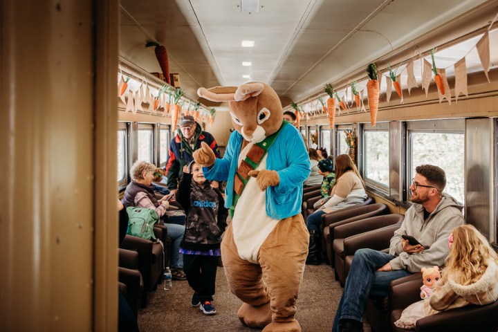 Person in bunny costume interacts with people on a decorated train.
