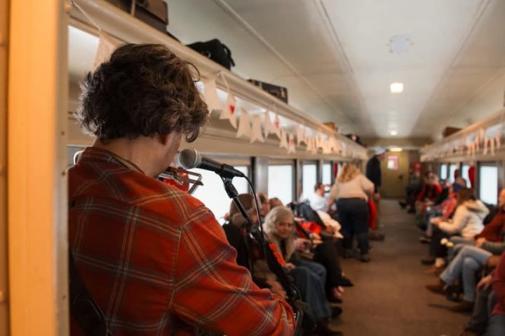 Musician in a plaid shirt performs for passengers on a decorated train carriage.