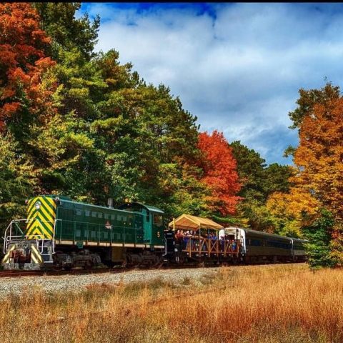 Train passing through autumn forest with colorful trees.
