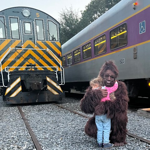 Person in gorilla costume hugs child near two trains on tracks.
