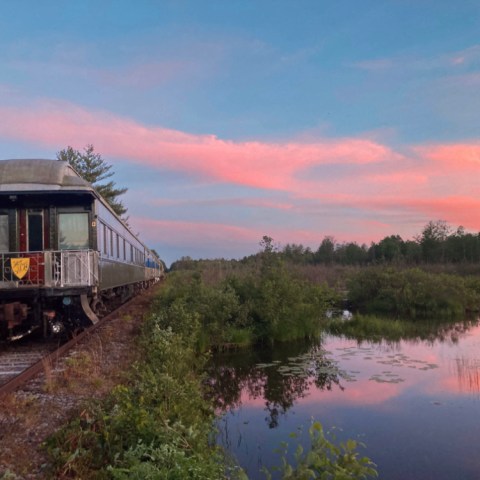A train on tracks beside a reflective pond at sunset, with pink clouds in the sky and greenery around.