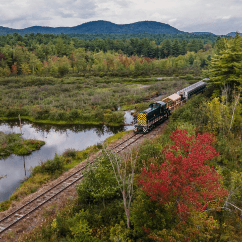 Train passing through lush, wooded landscape with mountains in the background.