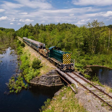 Train crossing a narrow bridge over a scenic wetland area.